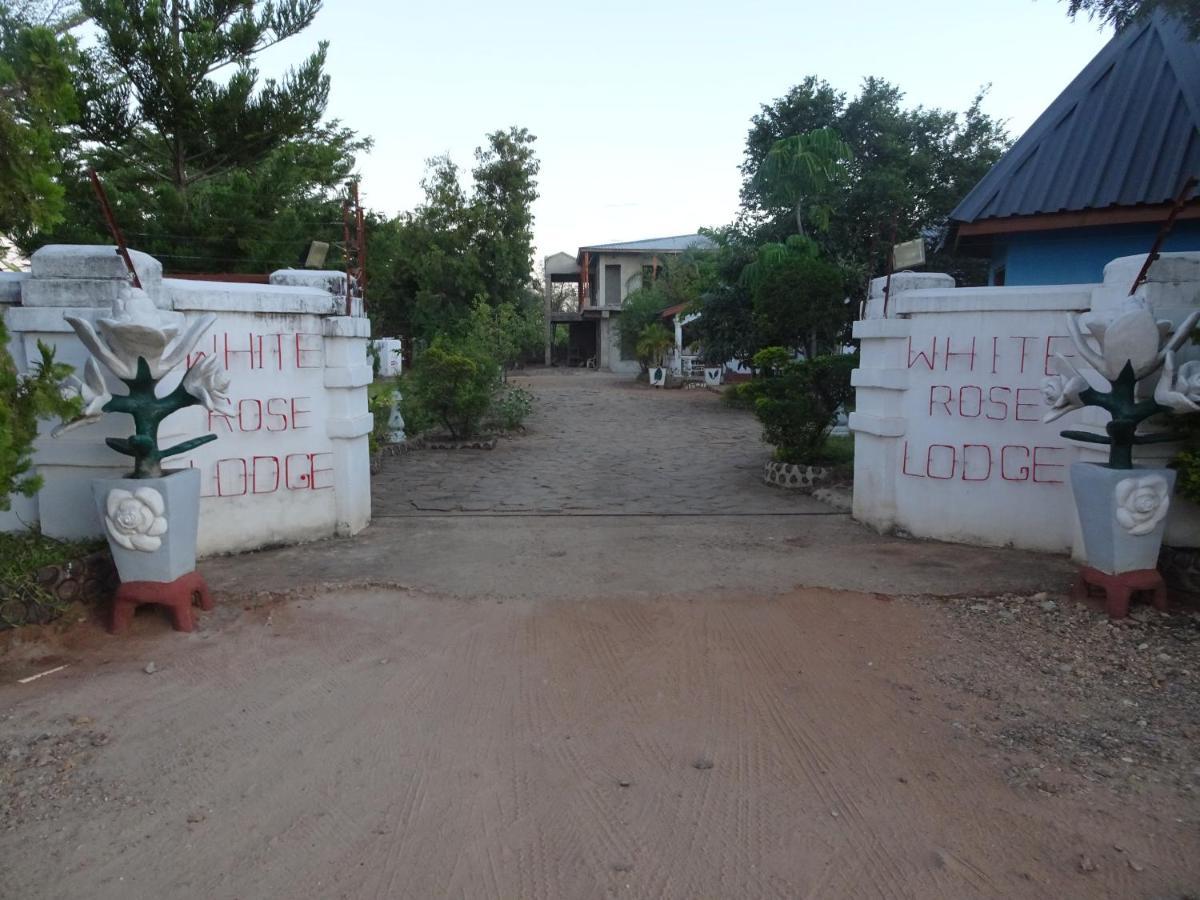 White Rose Lodge Livingstone Buitenkant foto