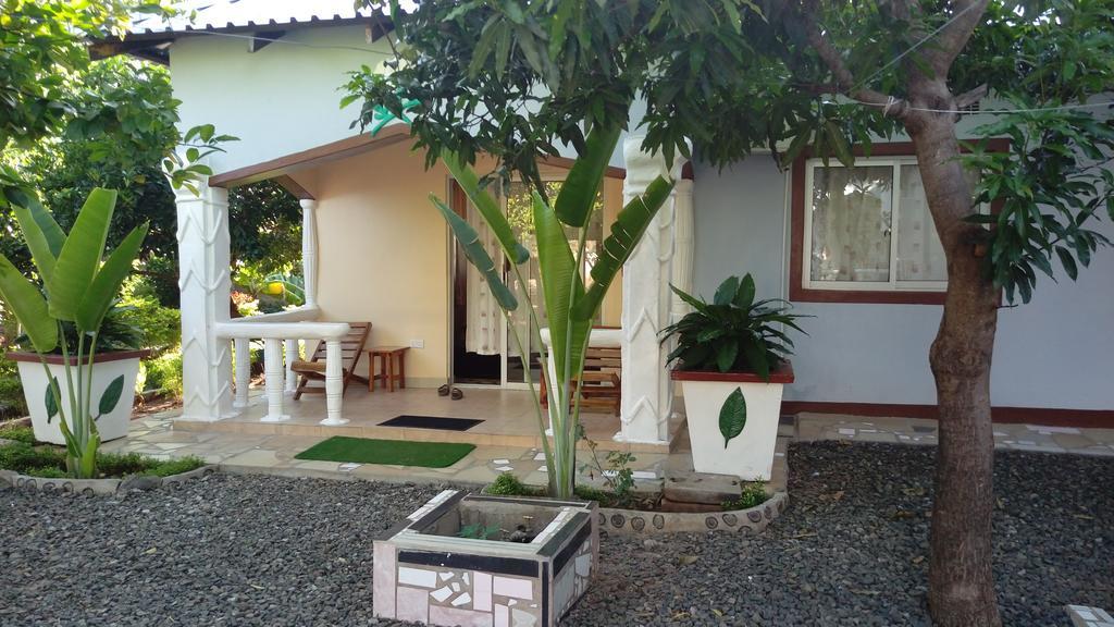 White Rose Lodge Livingstone Buitenkant foto